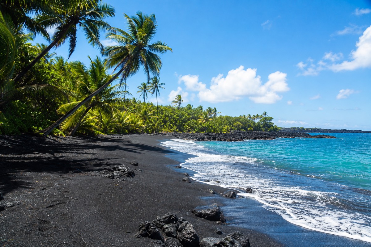 Punaluʻu Black Sand Beach with palm trees along the shoreline on Hawaii's Big Island
