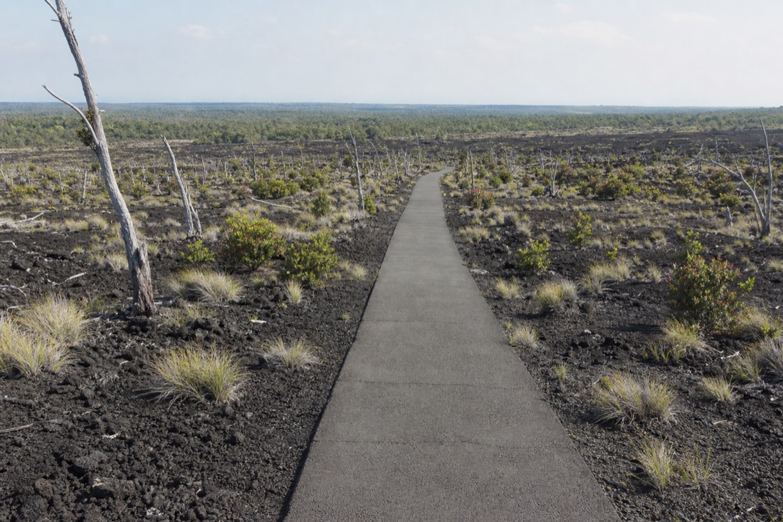 The paved path across the cinder field on Devastation Trail