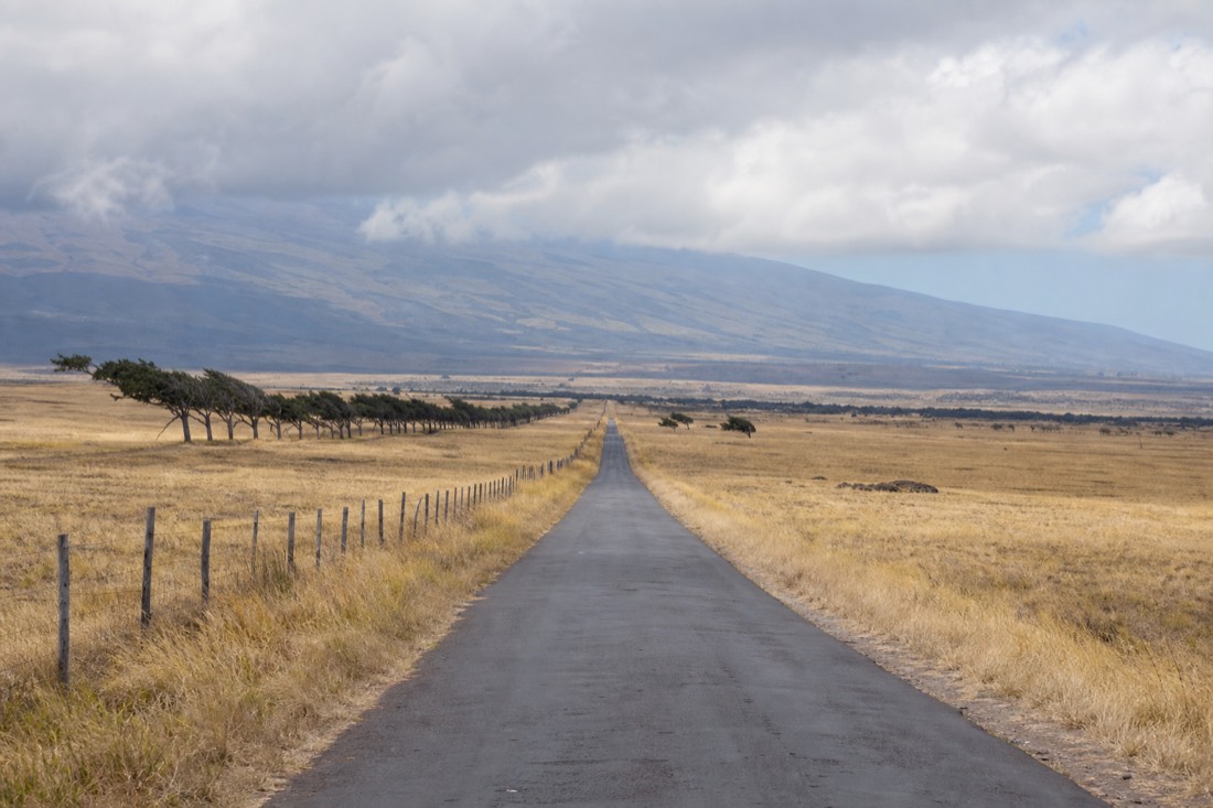The grassland road through the Kaʻū district on the way toward South Point