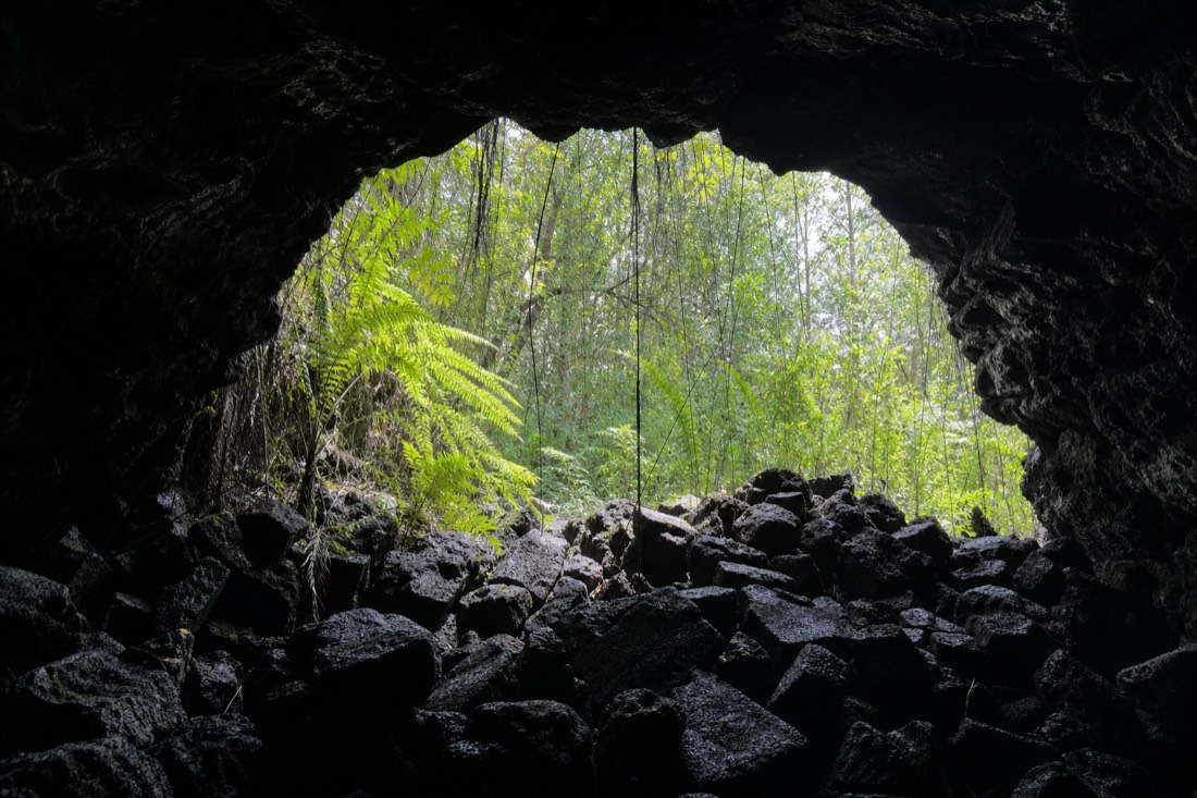 Ferns growing at the mouth of the second cave opening at Kaumana Caves