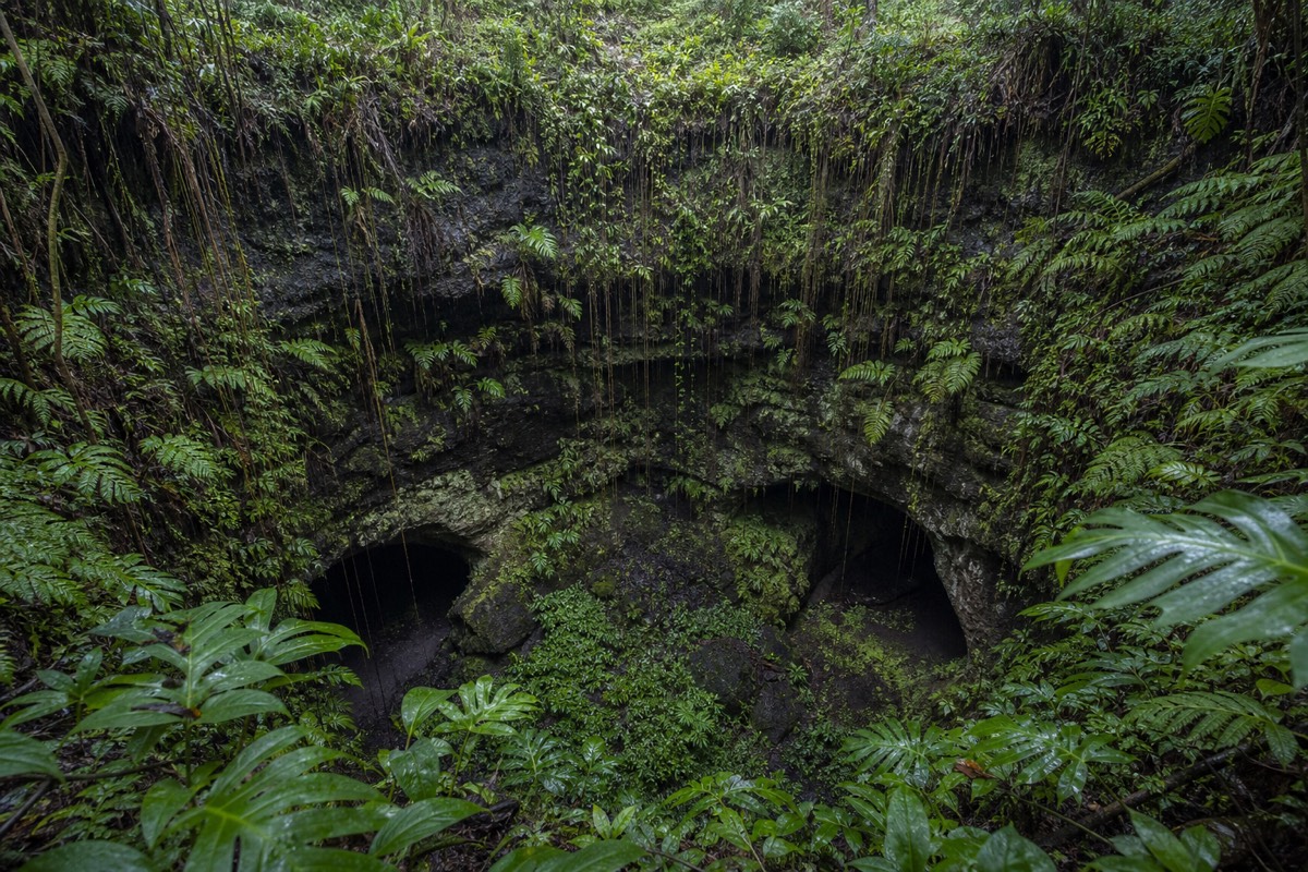 The collapsed skylight entrance to Kaumana Caves, with a concrete stairway leading down into the lava tube
