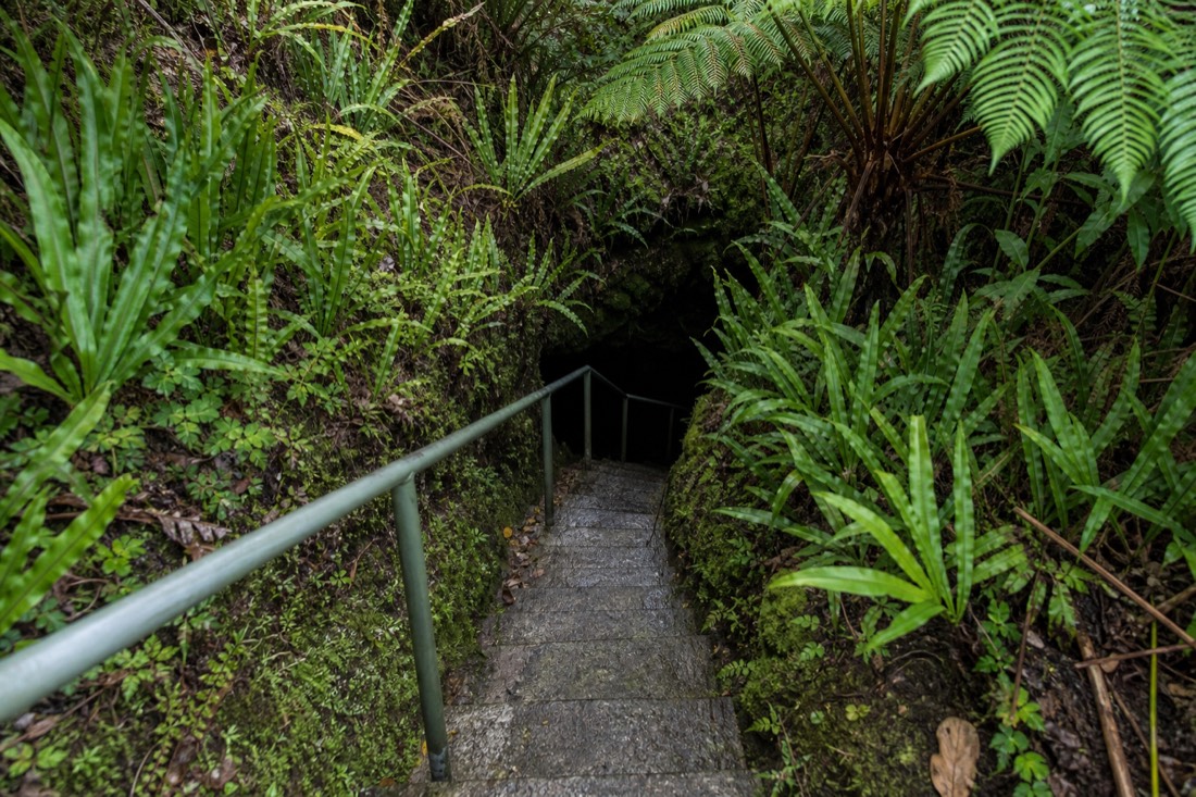 The concrete stairway descending into the collapsed skylight at Kaumana Caves