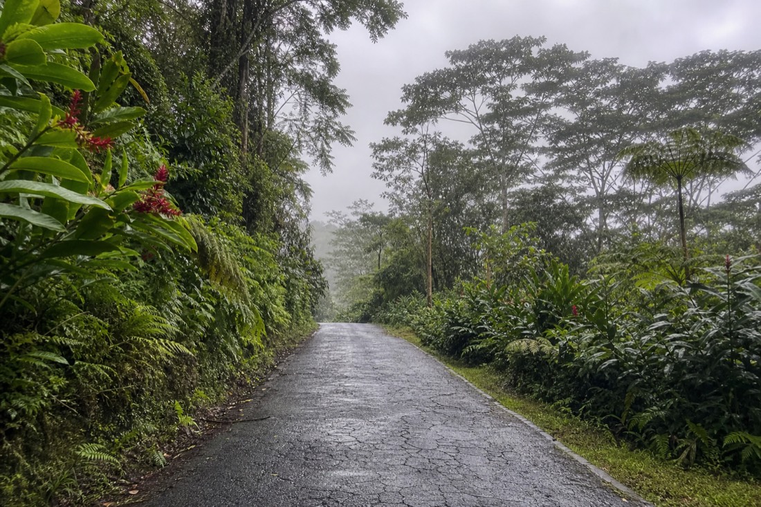 Kaumana Drive climbing through rainforest on the way to the caves, four miles from downtown Hilo
