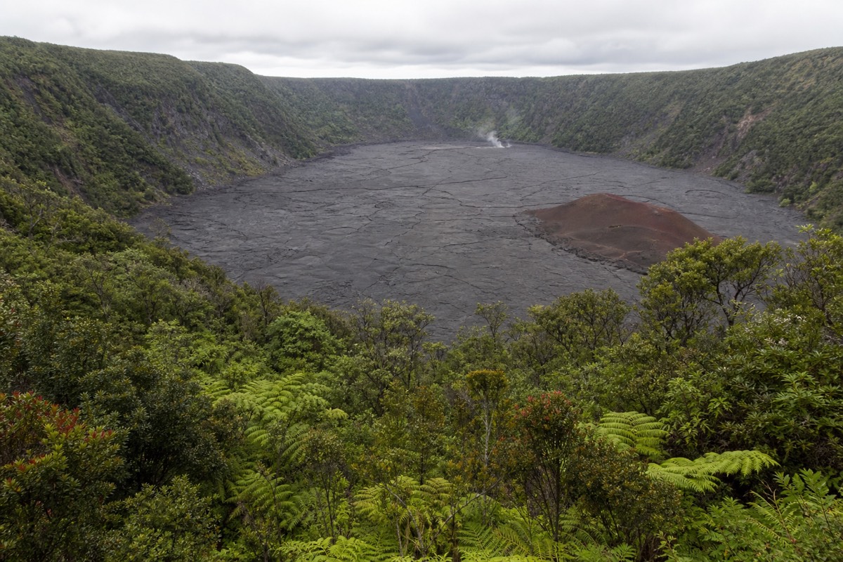 Looking down onto the flat solidified lava lake floor of Kīlauea Iki crater from the forested rim