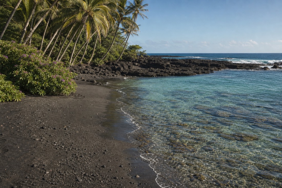 The tide pool cove at Richardson Ocean Park, a common turtle resting spot