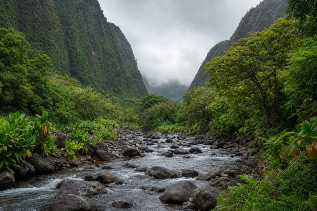 A stream crossing the floor of Waipiʻo Valley, where general vehicle access has been restricted since 2022