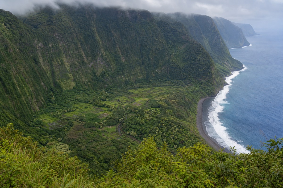 The wide amphitheater view of Waipiʻo Valley from the free public lookout at the top of the road