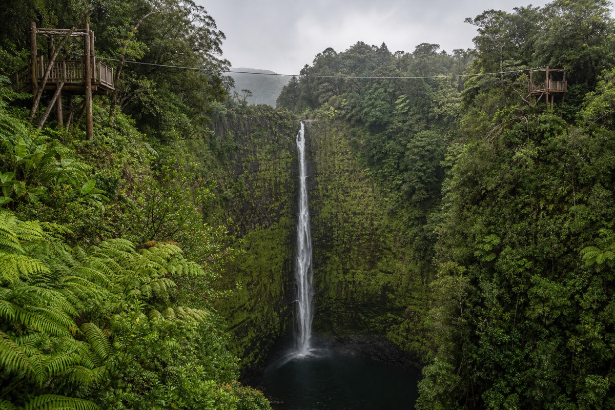 Zipline cable strung between rainforest platforms above a tall waterfall dropping into a gorge on Hawaii's Hamakua coast