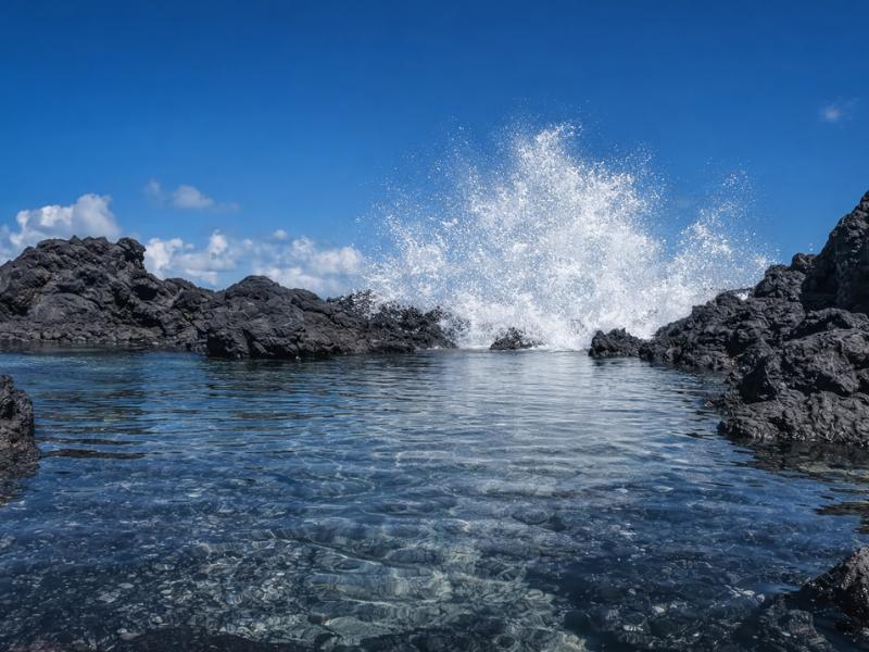 Exclusive Private Tide Pools Hike: Jungle Trail & Hidden Coast